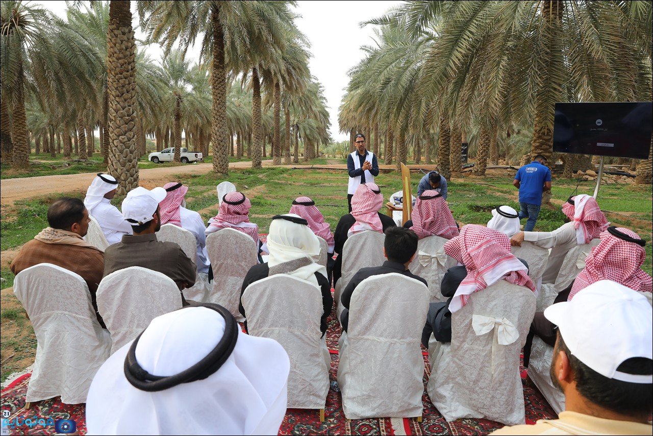 الجمعية التعاونية بالمجمعة تنظم ورشة عمل حول تعزيز جوده التمور لعام 2026 م